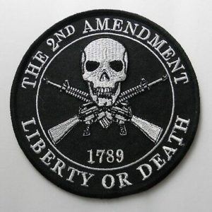 Ride or Die Biker Skull Embroidered Patch 3.5 inches 